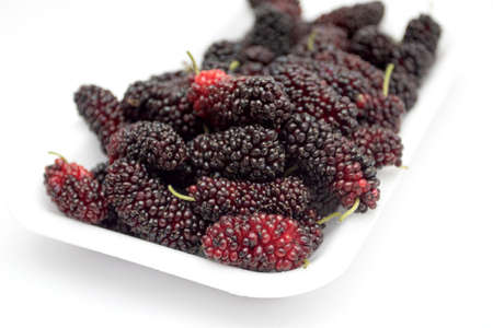 Fresh organic Mulberry fruits on plastic plate on white background.の写真素材