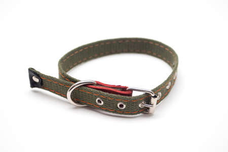 Nylon dog Collar on white backgroundの写真素材