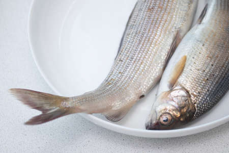 Fresh raw grayling fish in the plate.の写真素材