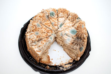 Green fungus on the cake. Mold growing on cake.の写真素材