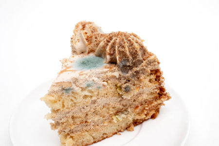 Expired piece of cake with mold.の写真素材