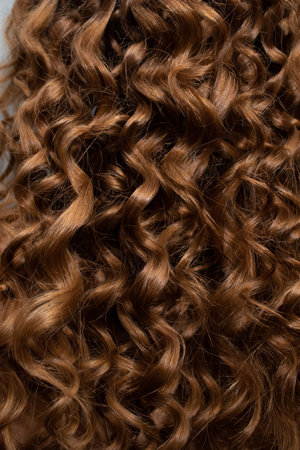 Long curls on the head of the Light brown woman back view.の写真素材