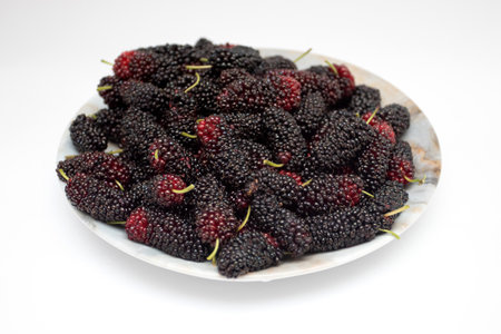 Mulberry closeup background of berryの写真素材