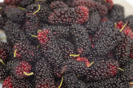 Fresh Mulberry berries on plateの写真素材