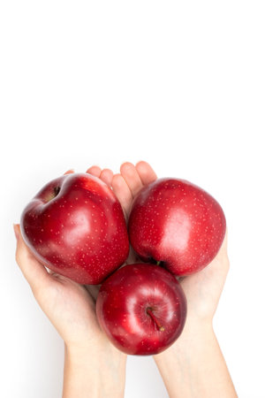 A hand holding red ripe apples on white backgroundの写真素材