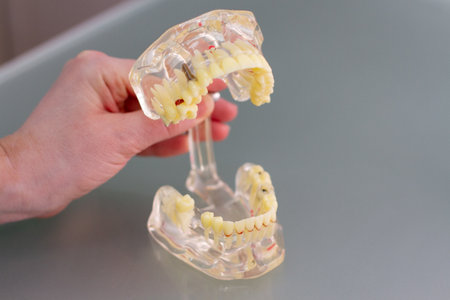 Jaw exhibit and Dental tools on a glass table