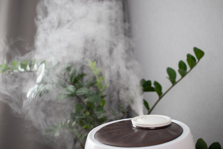 Humidification of the air for flowers.の写真素材