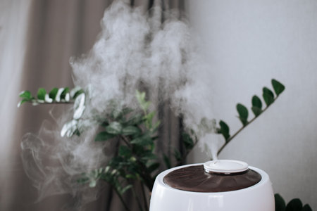 Steam from the air humidifier duringの写真素材