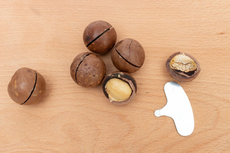 Macadamia nuts and keys on wooden tableの写真素材