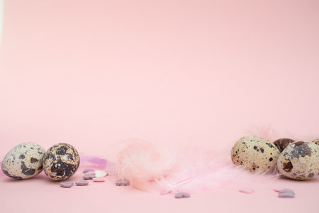 easter pink background. Quail eggs and colorful feathersの写真素材