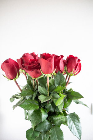 Bouquet of red roses with water dropsの写真素材