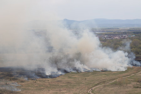 Burning fields. Ecology disaster Wildfire. Aerial viewの写真素材