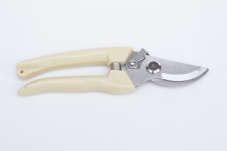 pruning shears on a white backgroundの写真素材