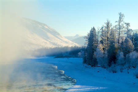 Mountain river and frosted trees with fogの写真素材