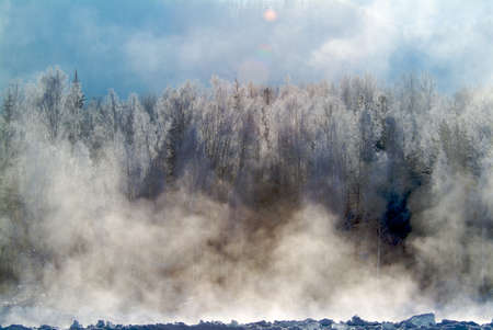Mountain river and frosted trees with fogの写真素材