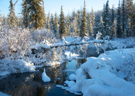 Beautiful winter sunset on the river Lena in Russiaの写真素材