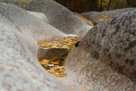 Autumn background. Yellow maple leaf on the water surface among the rocks