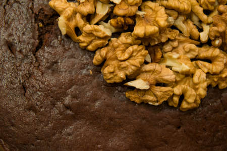 Shelled walnuts on a chocolate biscuit upper right corner, top viewの写真素材