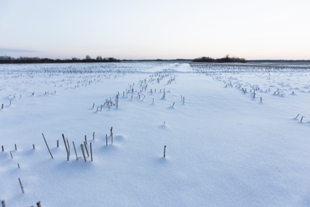 cold winter day in the villageの写真素材