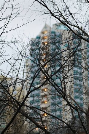 branches on a background of sky and building