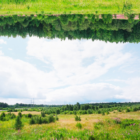 Summer field of grass on a sunny dayの写真素材