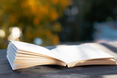 open book on wooden table, background of autumn treesの写真素材