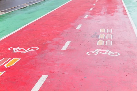 Bicycle lanes. Overcast. Wet asphalt. Urban environment
