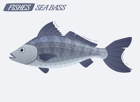 Fish sea bass character. Cartoon vector illustration. Fishing or food conceptのイラスト素材