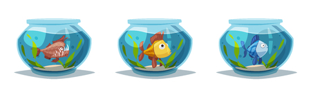 Aquarium with clear water. Cartoon vector illustrationのイラスト素材