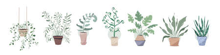 Potting trees, flowerpots hanging, plants in pots set isolated objectsのイラスト素材