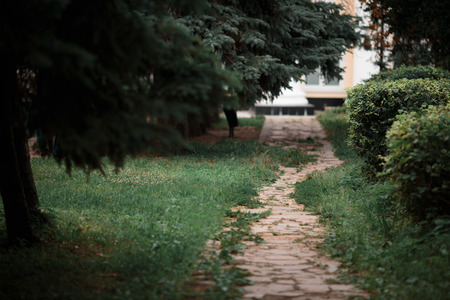 The road leading around the city green park.