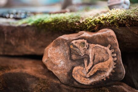 Interesting reptile depicted in stone at the edge of the forest.