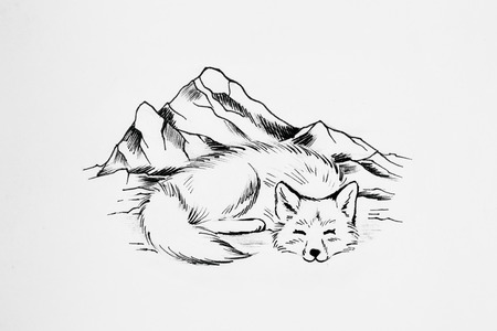 Arctic fox sleeps on background of high mountains.の写真素材