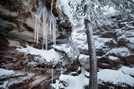 Beautiful winter snowy landscape in mountainous terrain.の写真素材
