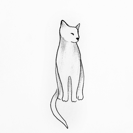 Sketch of beautiful cat on a white background.の写真素材