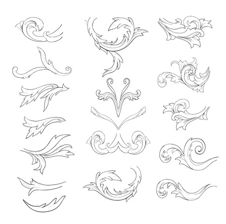 Graphic sketch of flower components on a white background.のイラスト素材