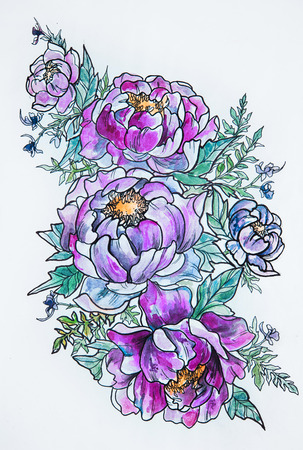 Sketch of beautiful blooming peonies on a white background.の写真素材