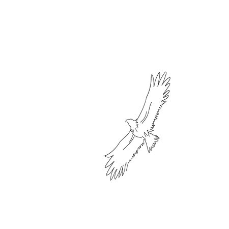 Sketch of an eagle in flight on a white background.
