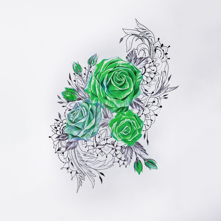 Sketch of beautiful green roses on a white background.の写真素材