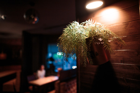 Evening cozy mood in a good cafe.の写真素材