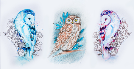 Set of sketches of multicolored owls on a white background.の写真素材