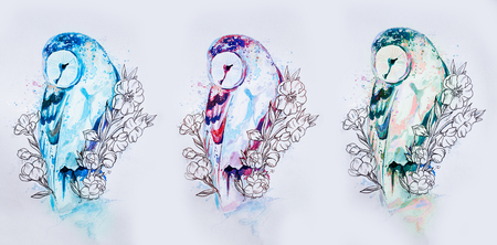 Set of sketches of multi-colored owls on a white background.の写真素材