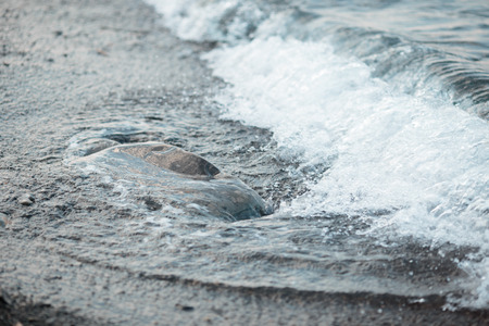 Preparation of evening dinner at stake. Camp kitchen in a mountains by the sea.の写真素材
