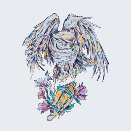Sketch of a wise owl with a lantern on a white background.の写真素材