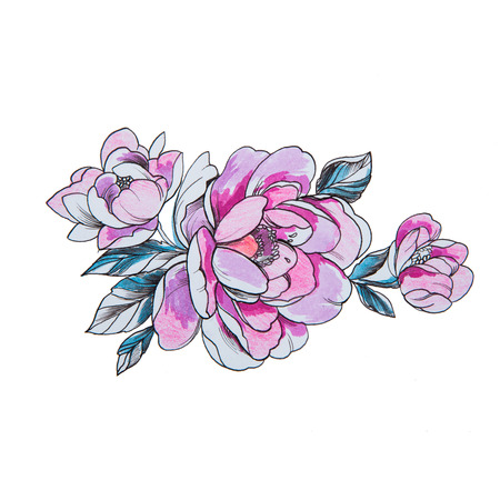 Sketch of beautiful pink peonies on a white background.の写真素材