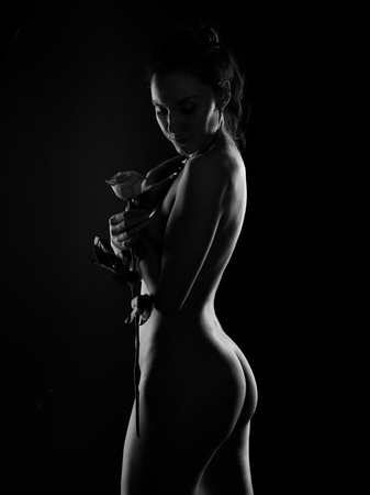 Naked silhouette of a beautiful girl with a rose.の写真素材