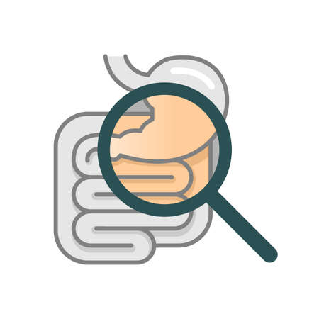 Gastroenterology - illustration with stomach, intestines and magnifying glassのイラスト素材