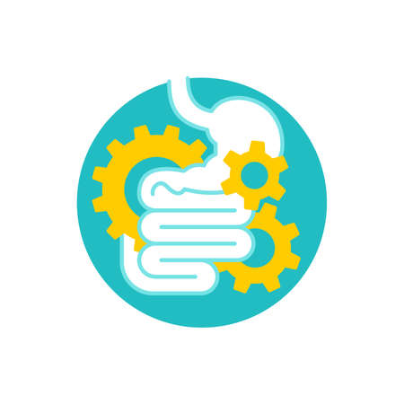 Digestive laxative system icon - human stomach associated with gear box mechanicm - for gastro medical drugs packaging - isolated vector emblemのイラスト素材