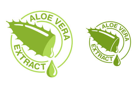 Aloe Vera extract icon - cut piece of healthy leaf with liquid dripping from it - isolated vector stamp for skin care - cosmetics or pharmaceutical productsのイラスト素材