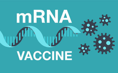 mRNA - messenger RNA Vaccine against Novel Coronavirus  2019-nCoV. Vector illustrationのイラスト素材